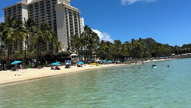 A beachfront hotel with a pool, palm trees, and beach umbrellas.