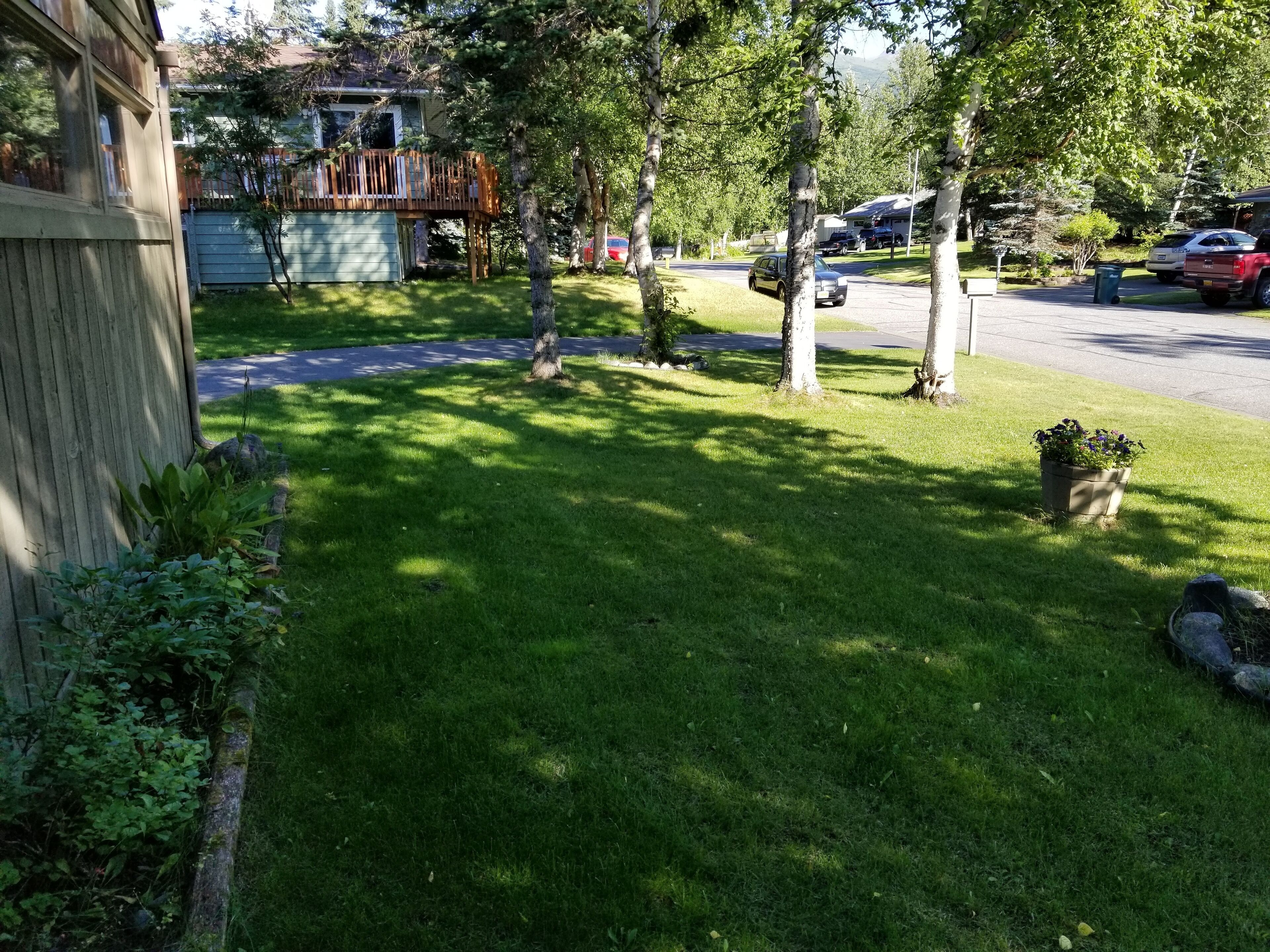 A residential area with a well-maintained lawn, trees, and parked cars.