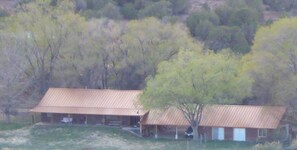 Cabin in Elm grove in Spring time.