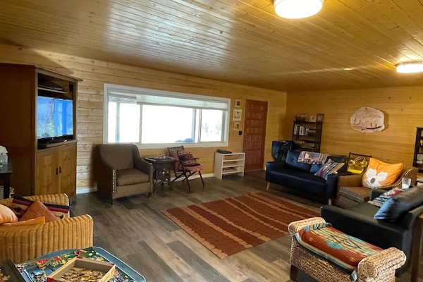 TV, DVD player, books, video library
