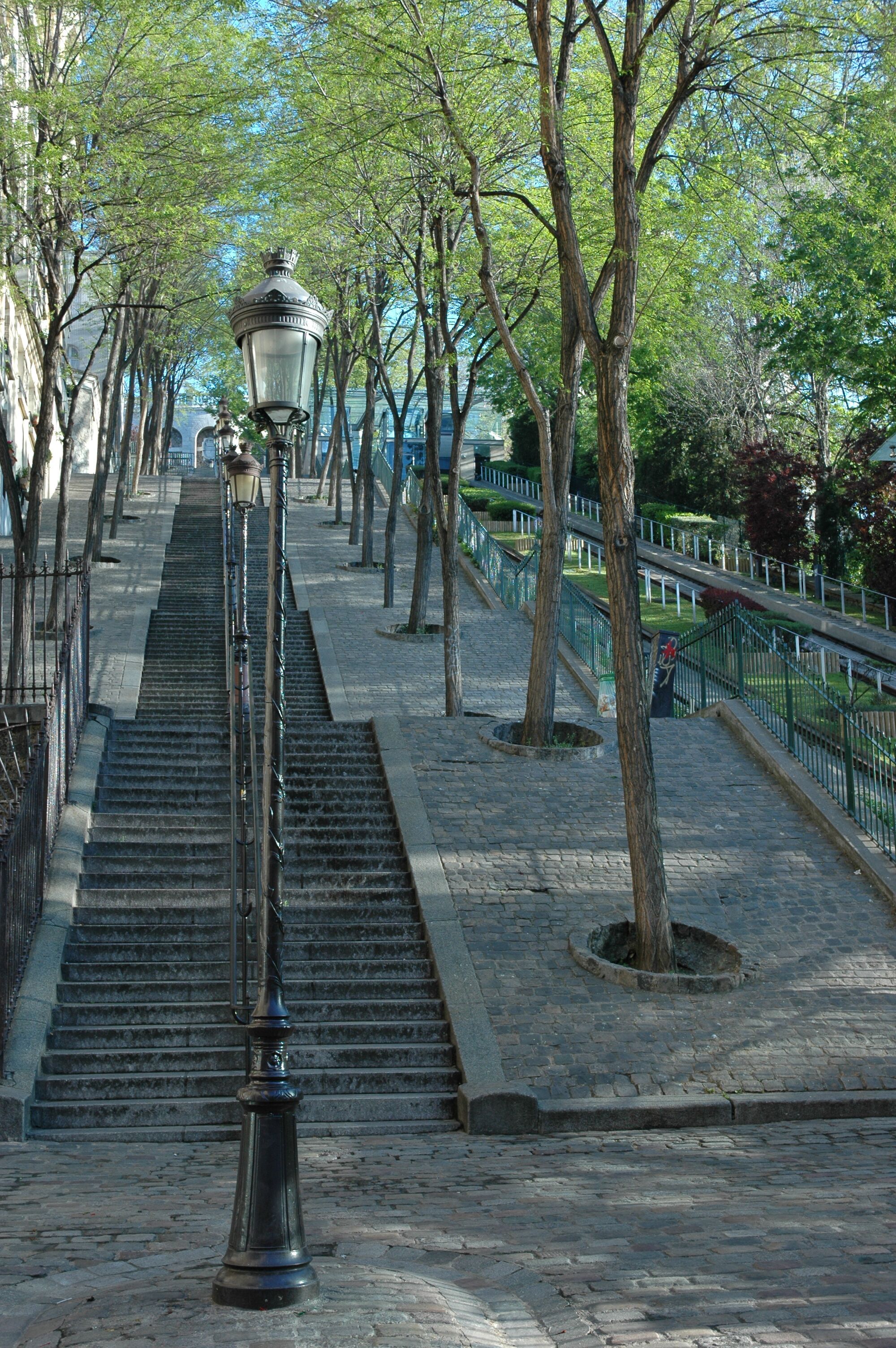 Un escalier en pierre, surmonté d’un lampadaire, bordé d’arbres et doté d’une rambarde en métal.