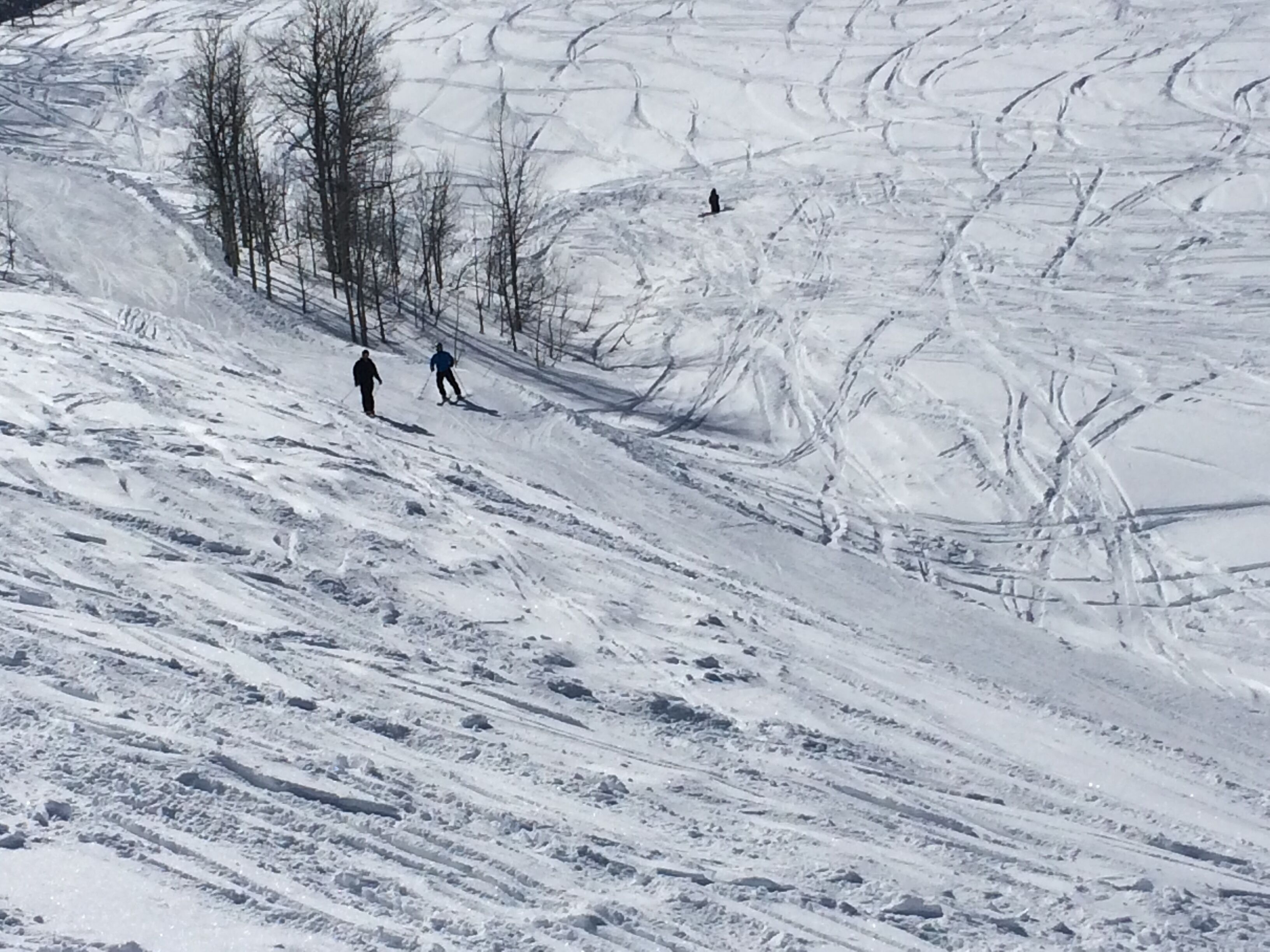 Une piste de ski enneigée avec des skieurs.