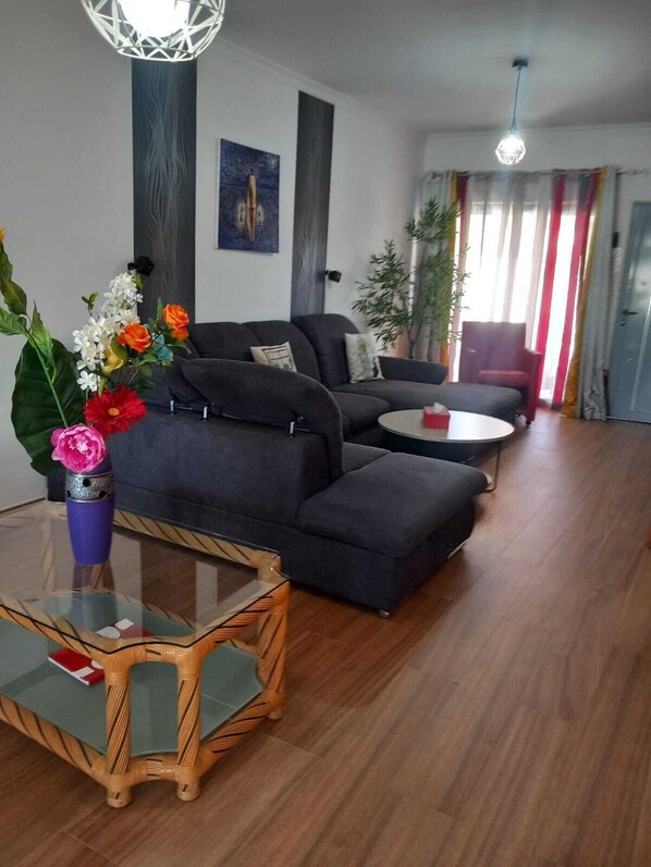 Smart TV, DVD player, books, video library