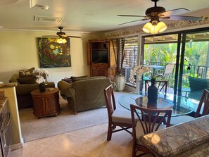 Smart-TV, DVD-Player