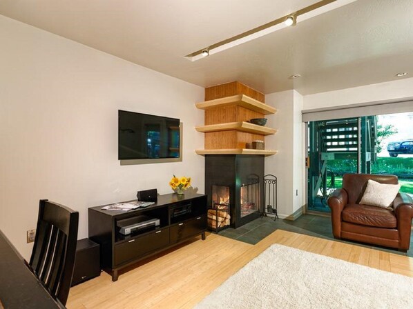 TV, fireplace, DVD player, books