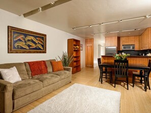 TV, fireplace, DVD player, books