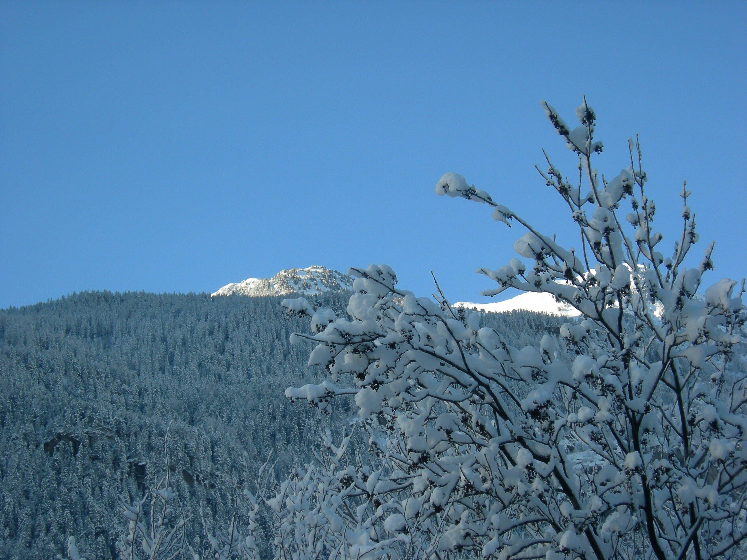 A snowy mountain landscape with a clear blue sky.