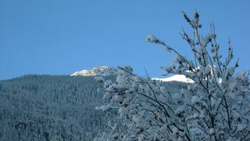 A snowy mountain landscape with a clear blue sky.