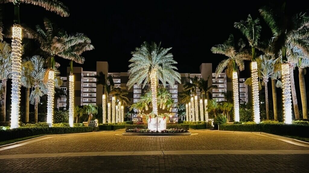 A well-lit hotel entrance with palm trees and a central fountain.
