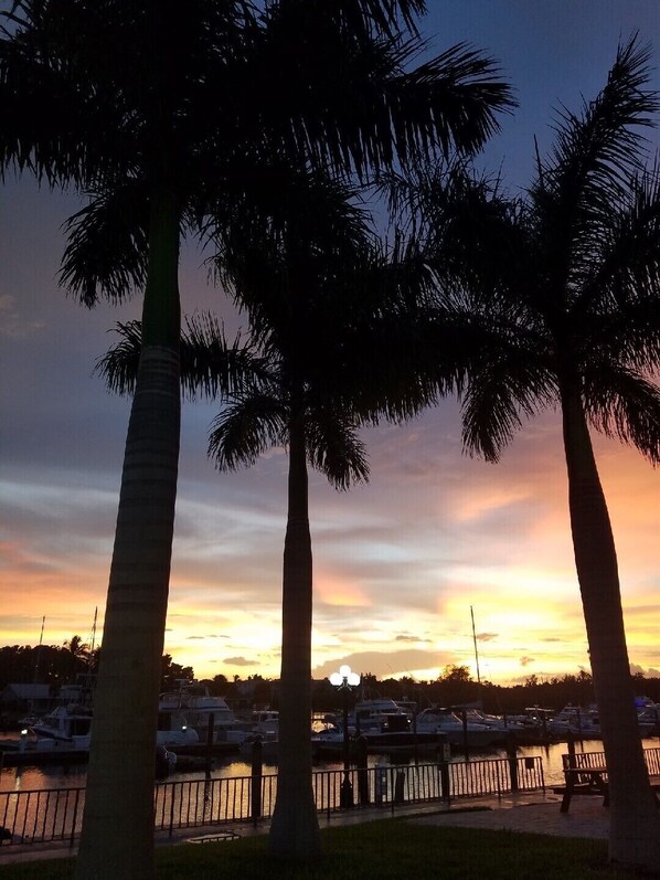 Una vista al atardecer con palmeras y un puerto deportivo con barcos.
