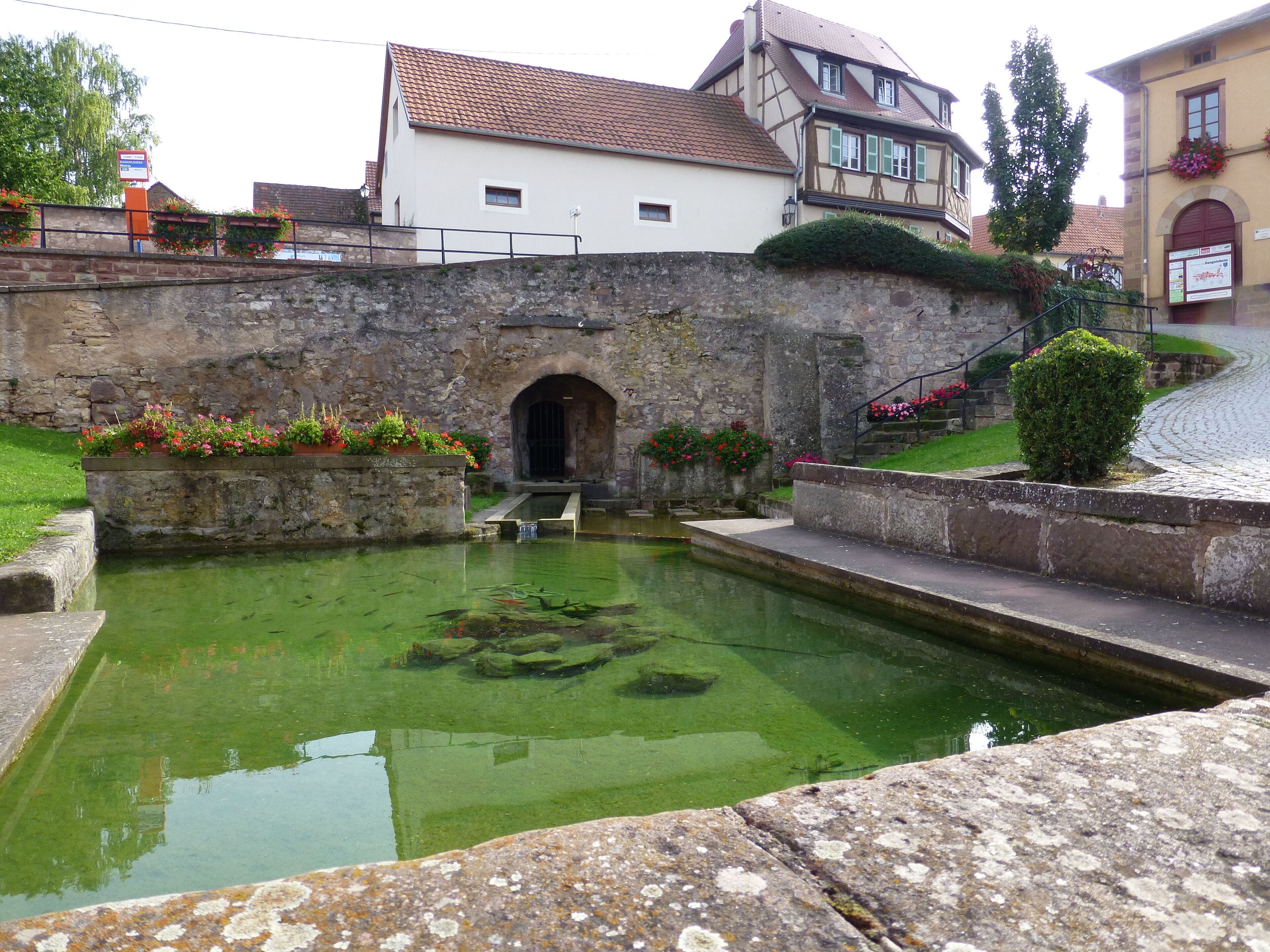 Le lavoir de Dangolsheim