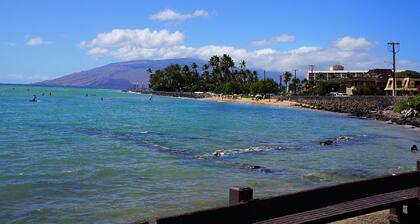 Yksityisyys paratiisissa! 2nd fl, päivitetty, vastapäätä Rantaa! Pienempi 6 yksikön kompleksi