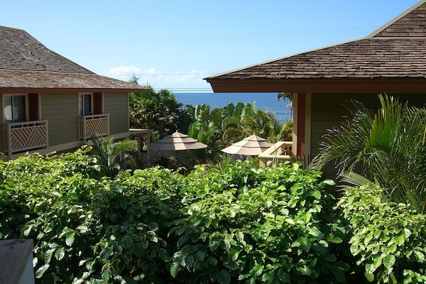 Surrounded by lush tropical scenery and serenity! Small Peek-a-Boo View