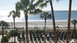 A beachside view with rows of sun loungers and palm trees.