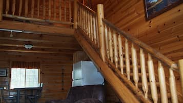 TV, fireplace, DVD player, books