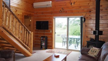 TV, fireplace, DVD player, books