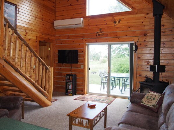 Télévision, cheminée, lecteur de DVD, livres