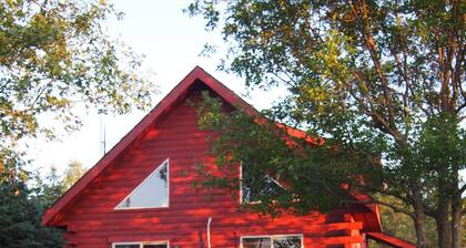 Charming hirsimökki puun polttaminen takka - 1 kilometrin päässä Downtown Hayward