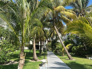 Property grounds - Newly Renovated 1000 Sq/ft Ocean View, Coral Beaches, Freeport, Grand Bahamas (Freeport)