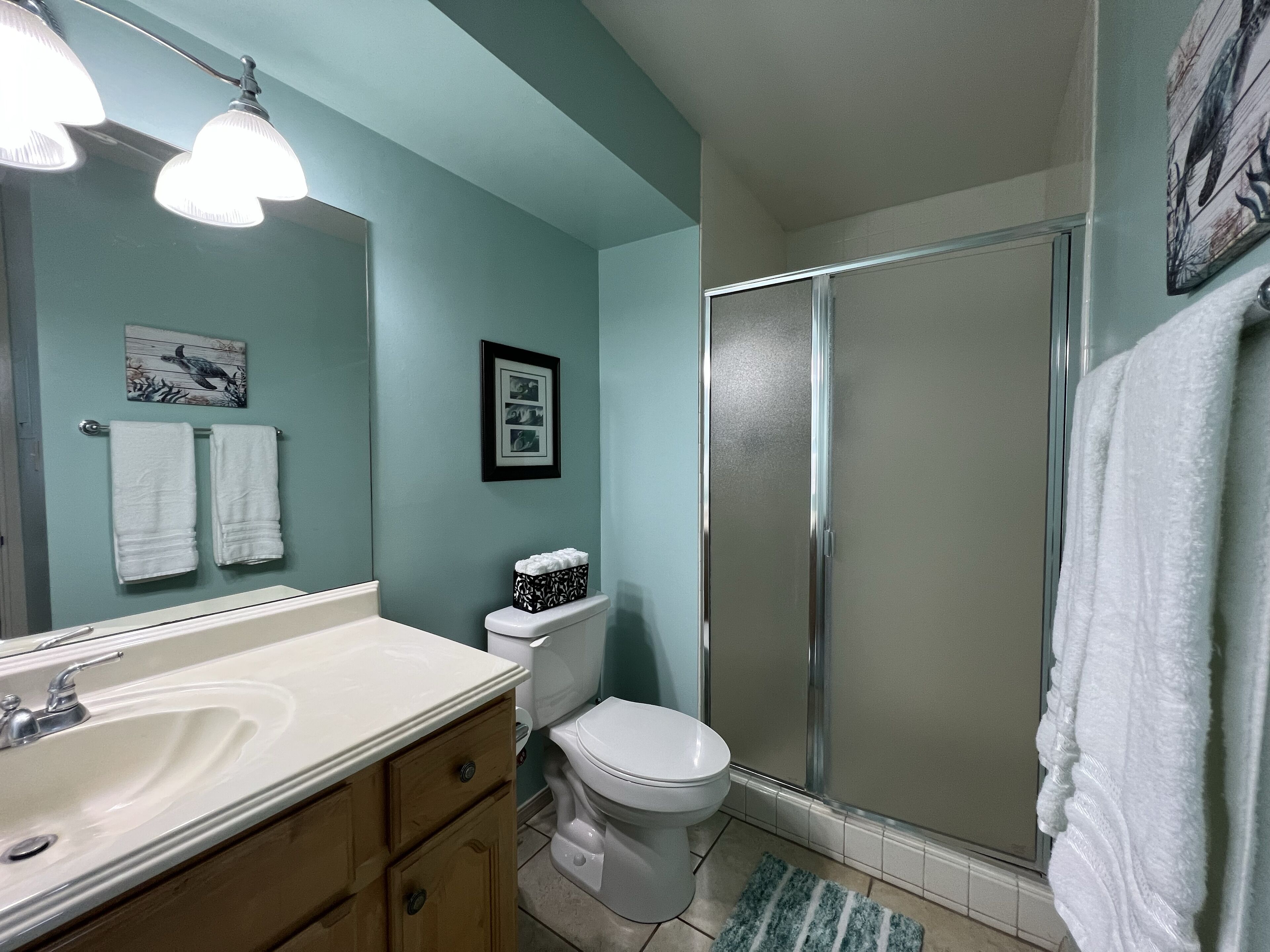 Combined shower/tub, hair dryer, towels