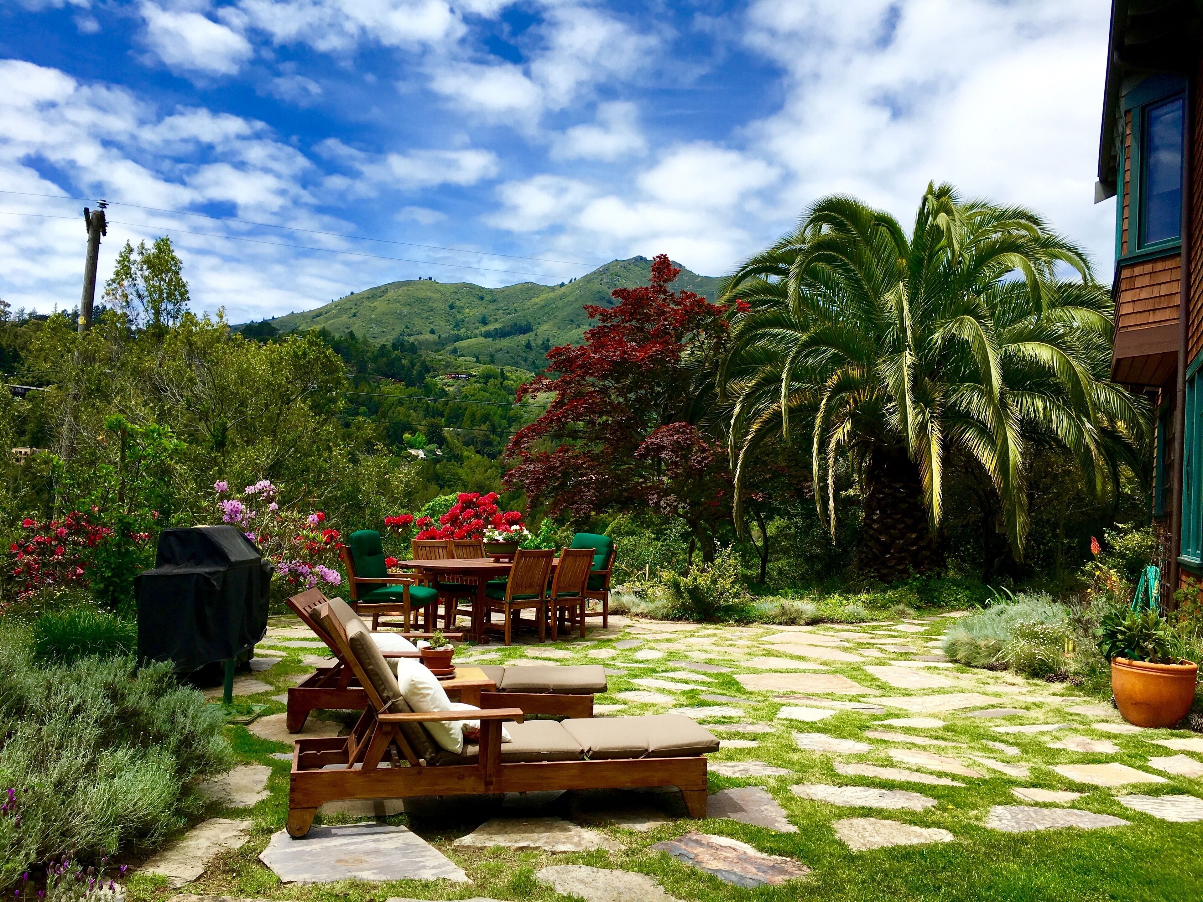 Walk through this beautiful yard with views of Mt Tamalpais to  private cottage