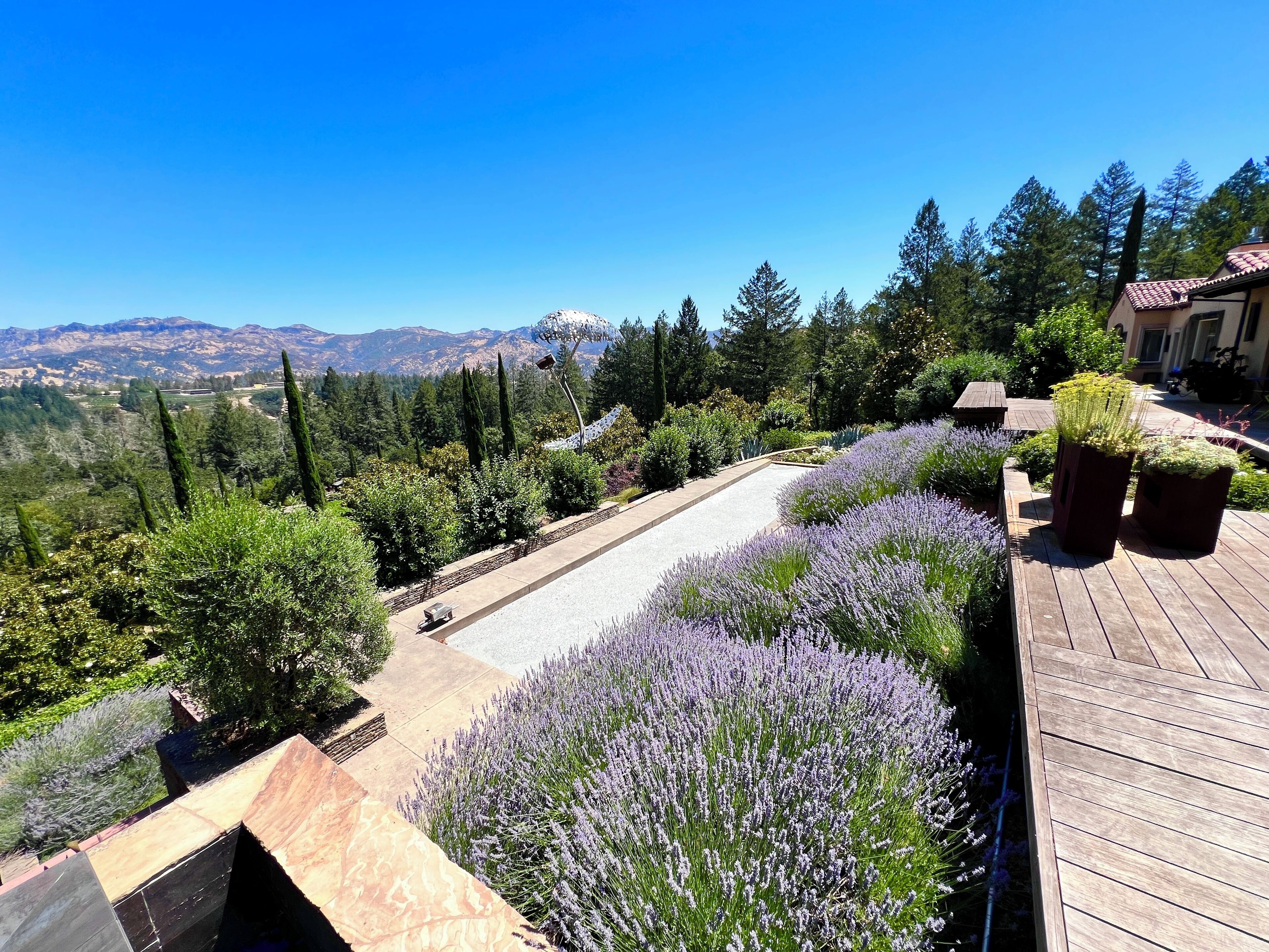 Jardines del alojamiento