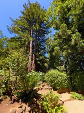 Property grounds - Luxury Vineyard Guest House with Amazing Views, Pool, Pickle Ball & Tennis! (Calistoga)