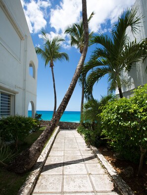 Guests may stroll along the pathway to the beachfront property, surrounded by lush greenery and arched windows.