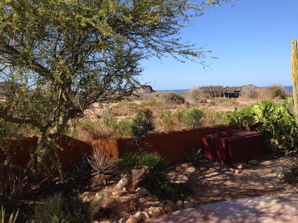 A desert landscape with a variety of cacti and desert plants, a wooden pergola, and a view of the ocean in the background. - Private 2 Bedroom Complex Close To Beach (Cabo Pulmo)
