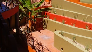A rooftop terrace with a view of the ocean, terraced planters with plants, and a decorative metal railing. - Private 2 Bedroom Complex Close To Beach (Cabo Pulmo)