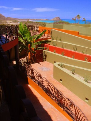 Property grounds - Private 2 Bedroom Complex Close To Beach (Cabo Pulmo)