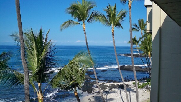 Vista de la playa con palmeras y un cielo azul despejado.