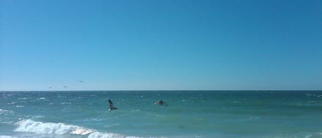 Spiaggia privata, lettini da mare, teli da spiaggia