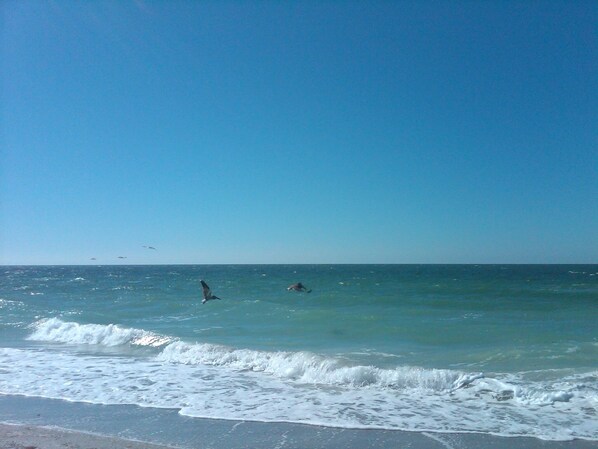Spiaggia privata, lettini da mare, teli da spiaggia