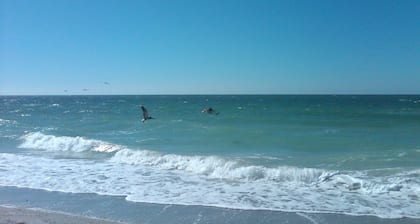 Magnificent Gulf & Sunset Views in Belleair Beach