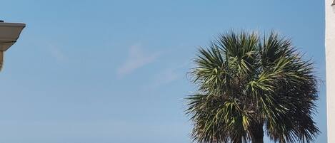 Plage privée, chaises longues, serviettes de plage