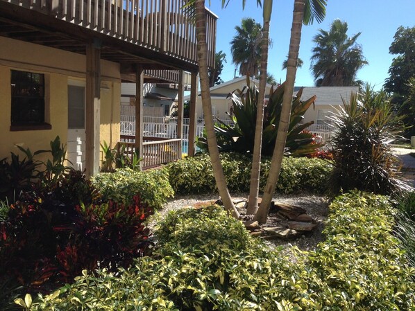 A courtyard with a wooden pergola, palm trees, and various shrubs.