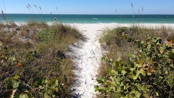 Plage privée, chaises longues, serviettes de plage