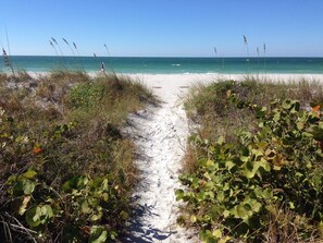 A sandy beach path leading to the ocean, surrounded by vegetation.