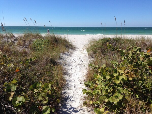 Private beach, sun loungers, beach towels - Magnificent Gulf & Sunset Views in Belleair Beach (Belleair Beach)