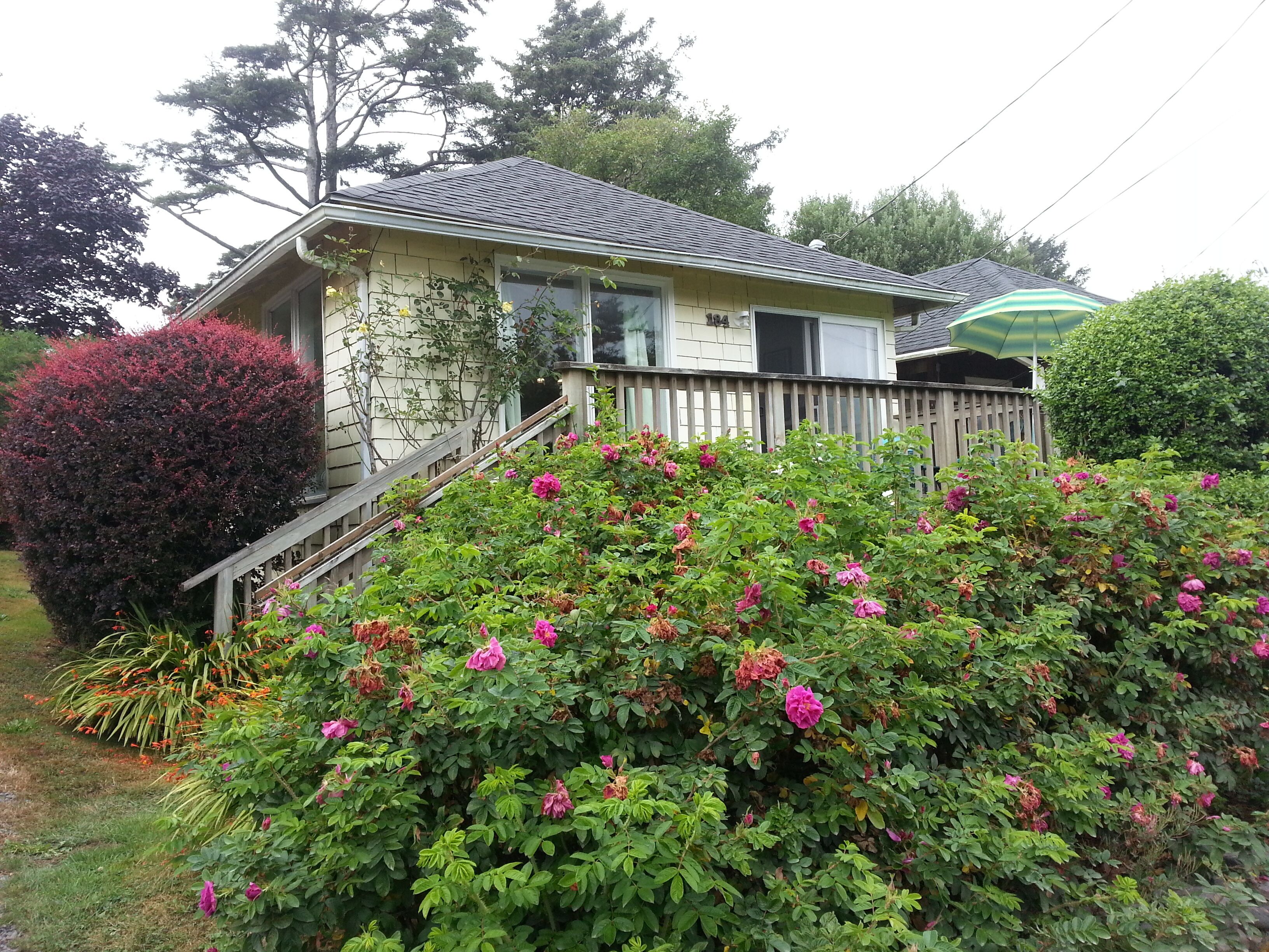 10 Best PetFriendly In Cannon Beach, Oregon Updated