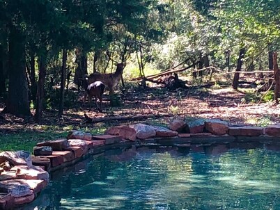 Whitetail Ranch Manor Retreat