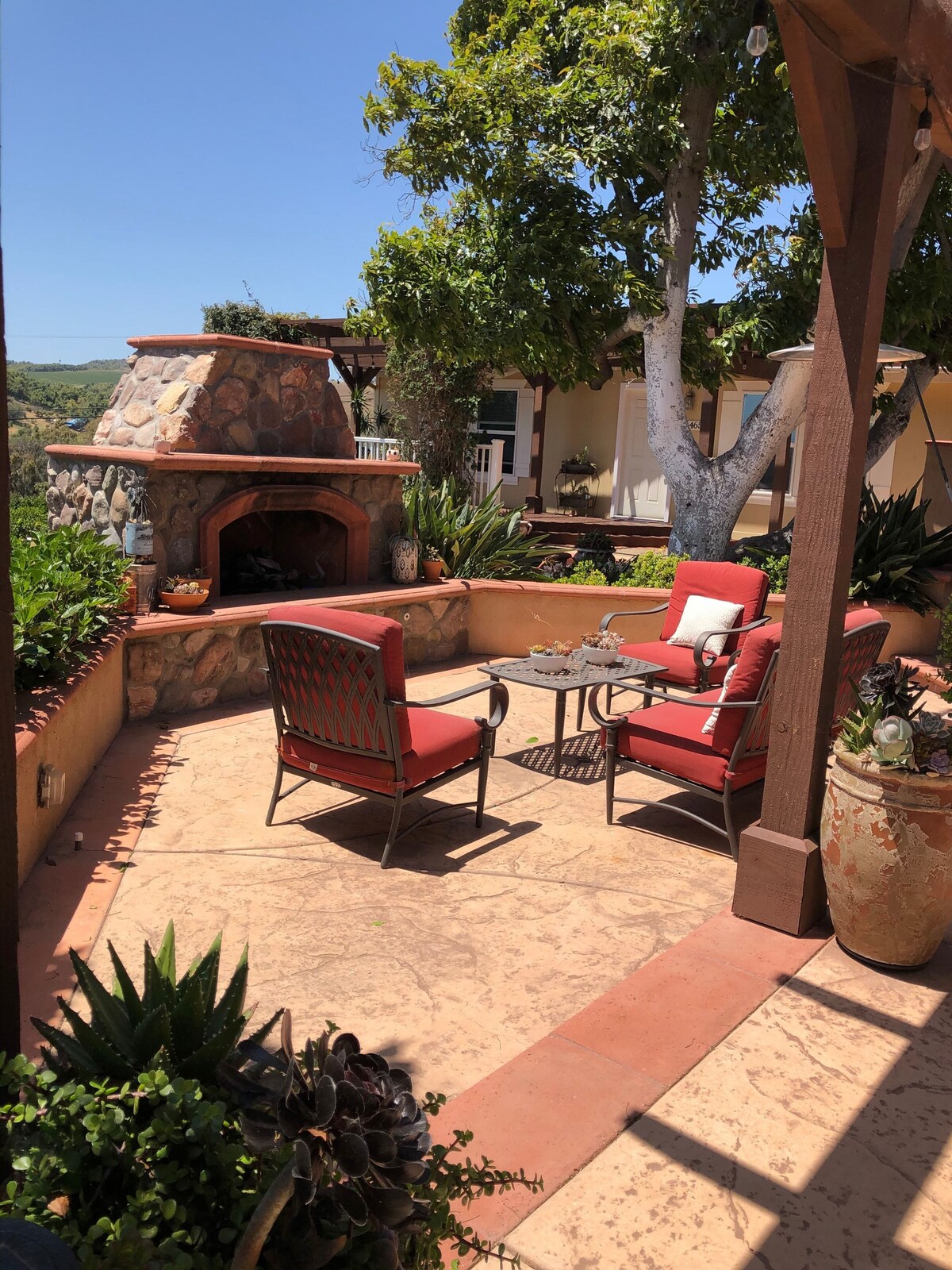 オーナーのプロフィール画像