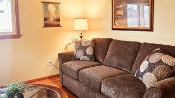 TV, DVD player, video library