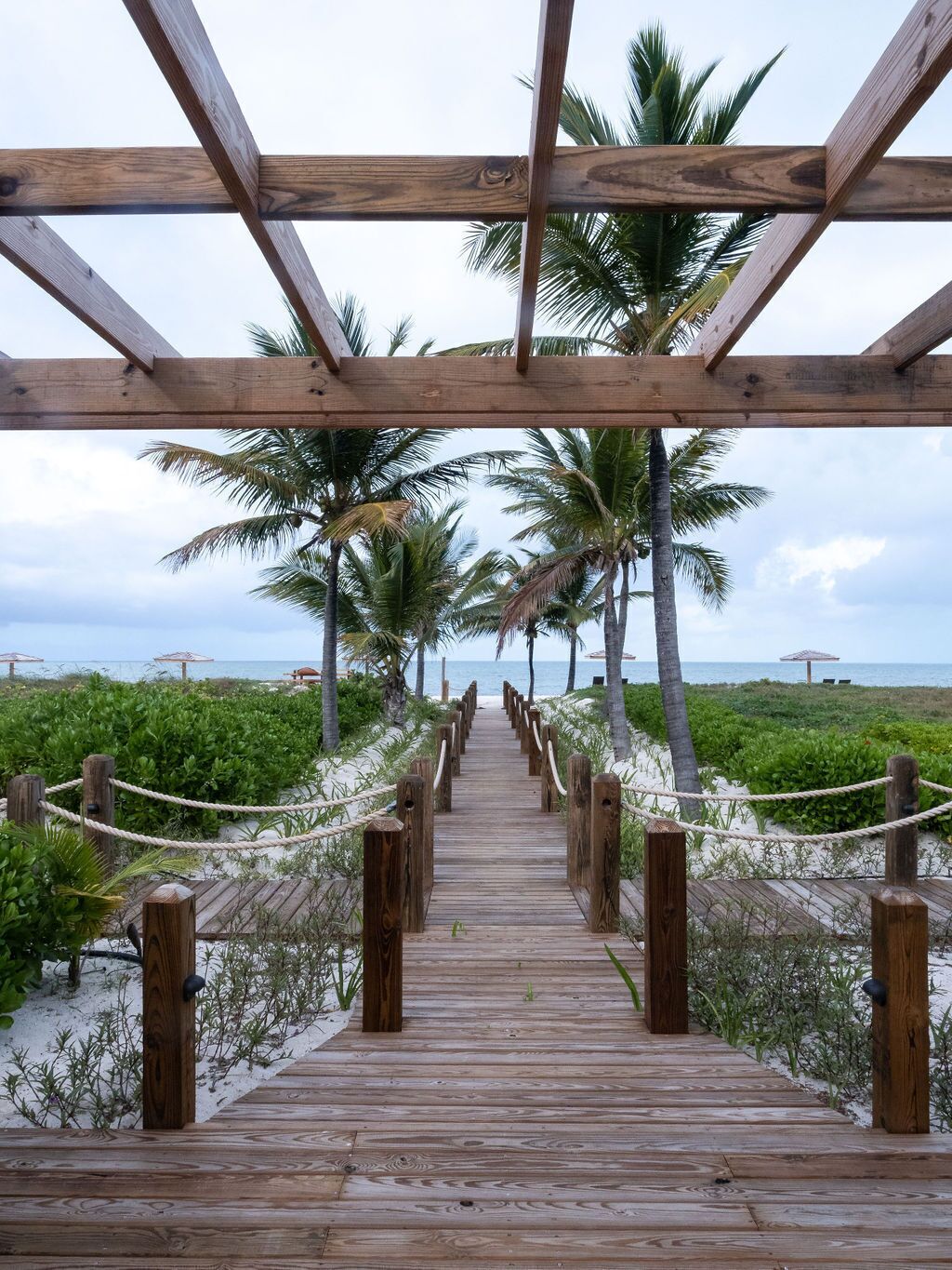 A wooden boardwalk leading to a beach with palm trees and a view of the ocean.