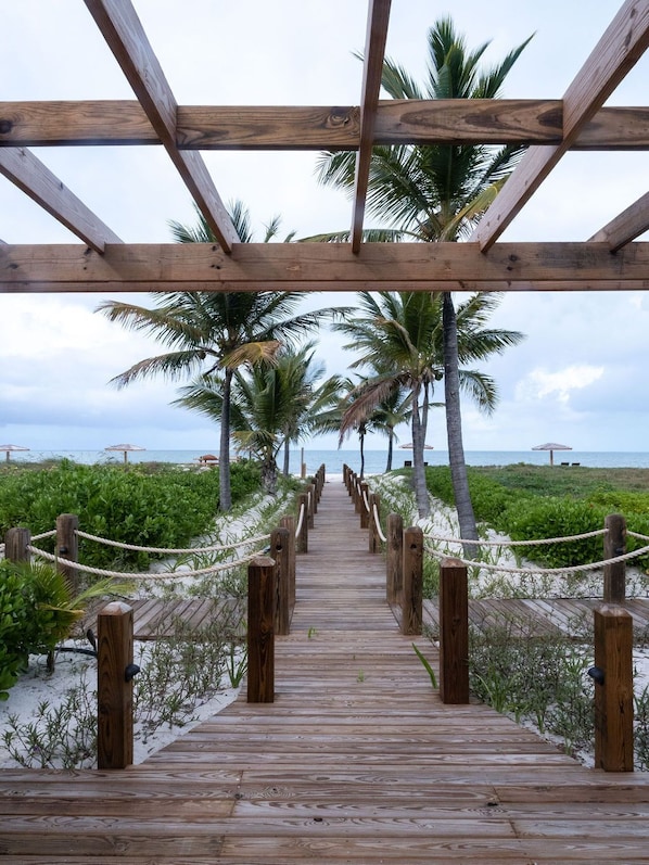 A wooden boardwalk leading to a beach with palm trees and a view of the ocean.