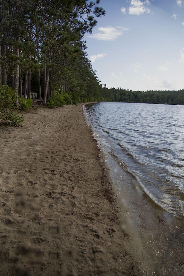 Une plage de sable avec des arbres et une étendue d’eau calme.