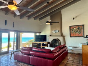 TV connectée, cheminée, lecteur de DVD, livres