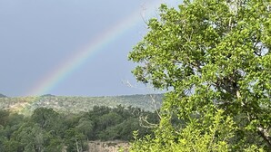 Un paisaje natural con un arcoíris, árboles y una masa de agua.