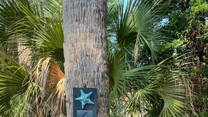 A tree with a house number sign and a starfish decoration. - Large Beach House for Bigger, Better Gatherings! (Folly Beach)